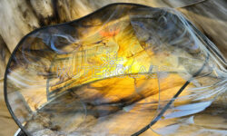 Glass art decor KUTENGLASS